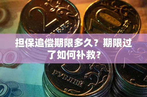 北京担保追偿期限多久？期限过了如何补救？