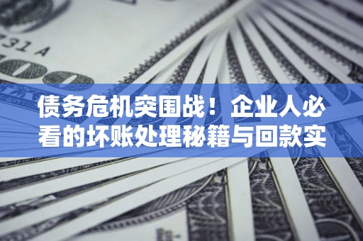 北京债务危机突围战！企业人必看的坏账处理秘籍与回款实战指南