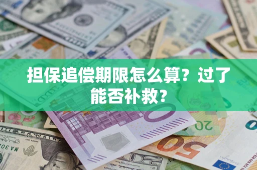 北京担保追偿期限怎么算？过了能否补救？